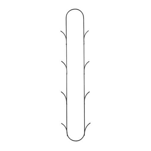 Alf Halter