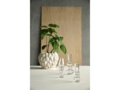Trio Vase -Baumarkt 25562 env 2 2201 high scaled